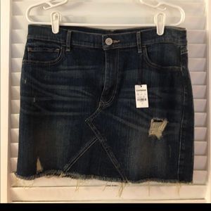 Express Denim Mini Skirt
